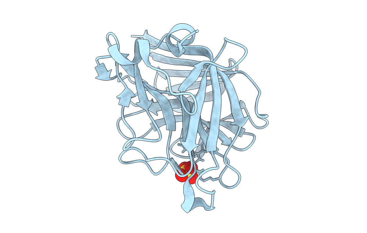 5ZQI image