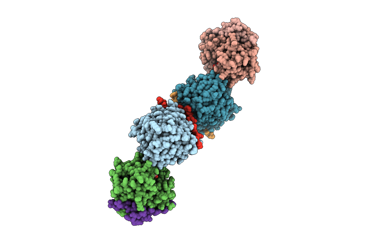 5ZQV image