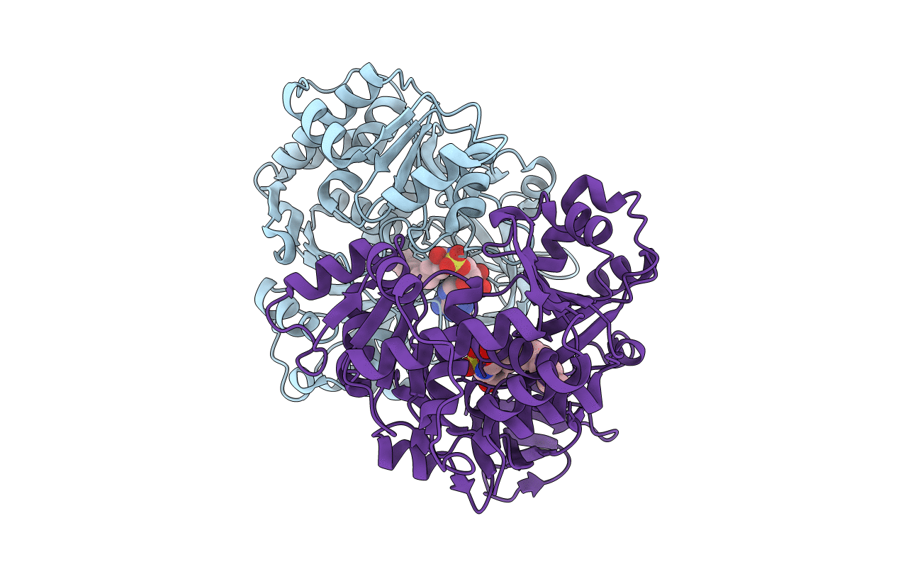 5ZRN image