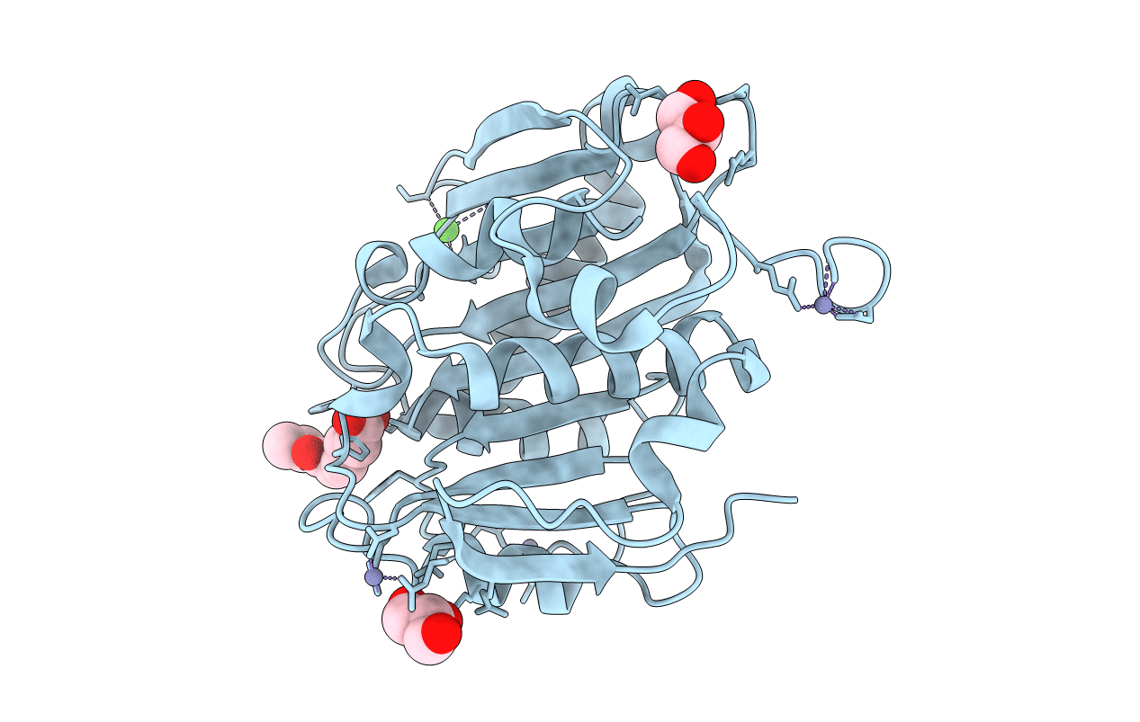 5ZRS image