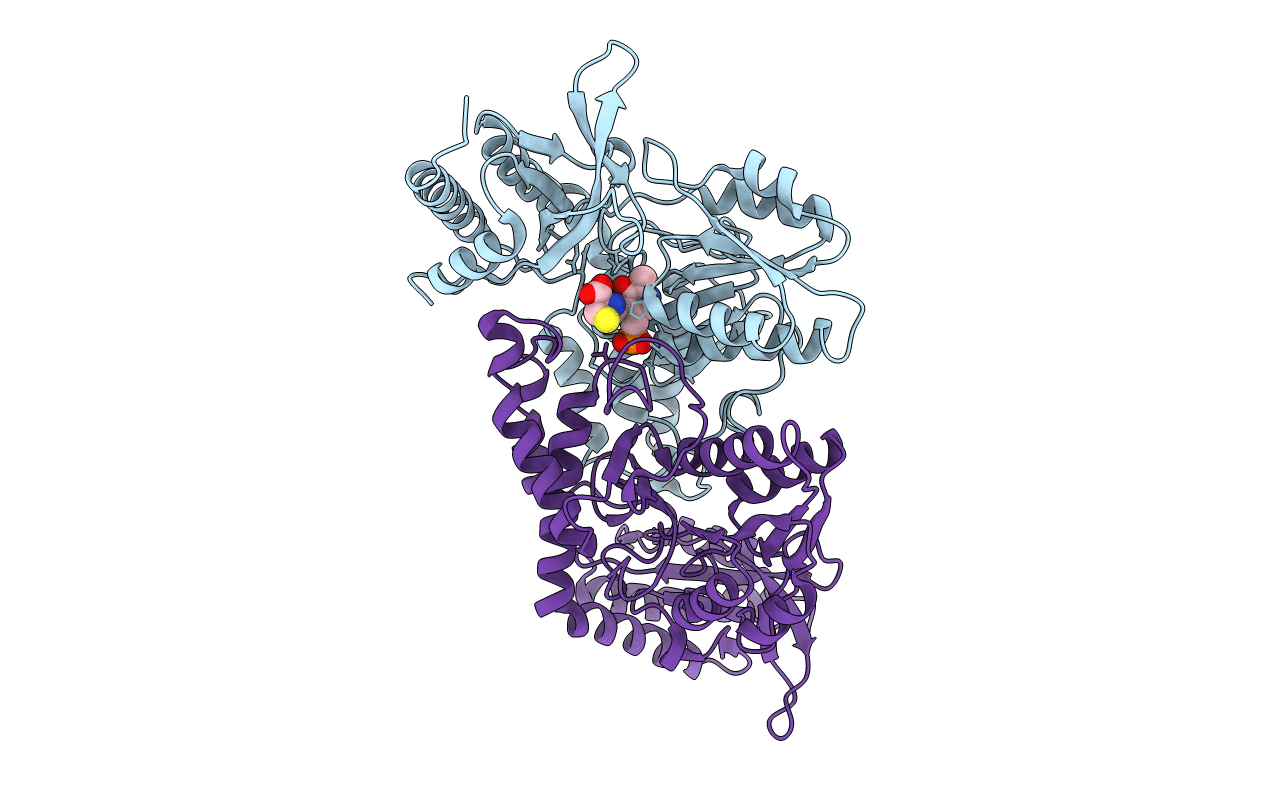 5ZSS image