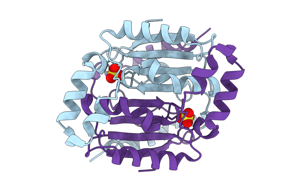 5ZTP image