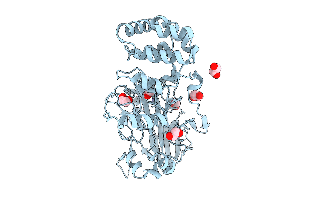 5ZVX image