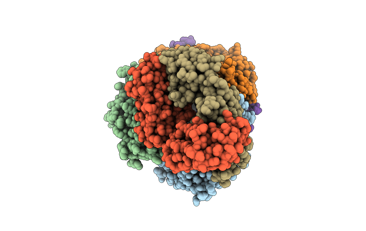 5ZXV image