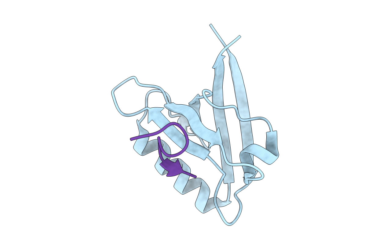 5ZYS image