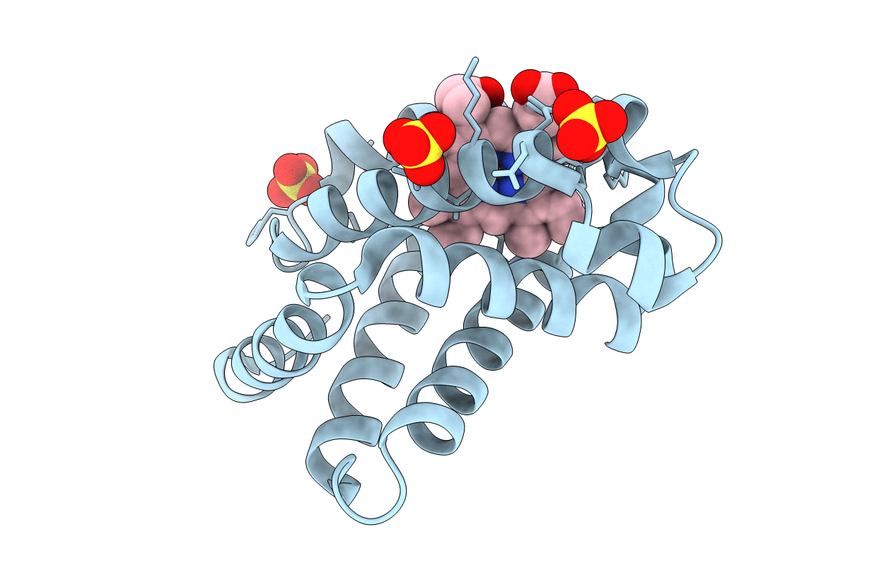 5ZZE image