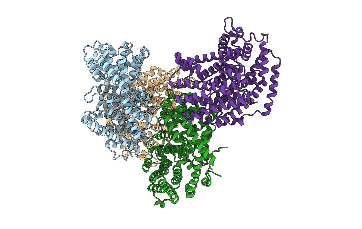 5ZZJ image