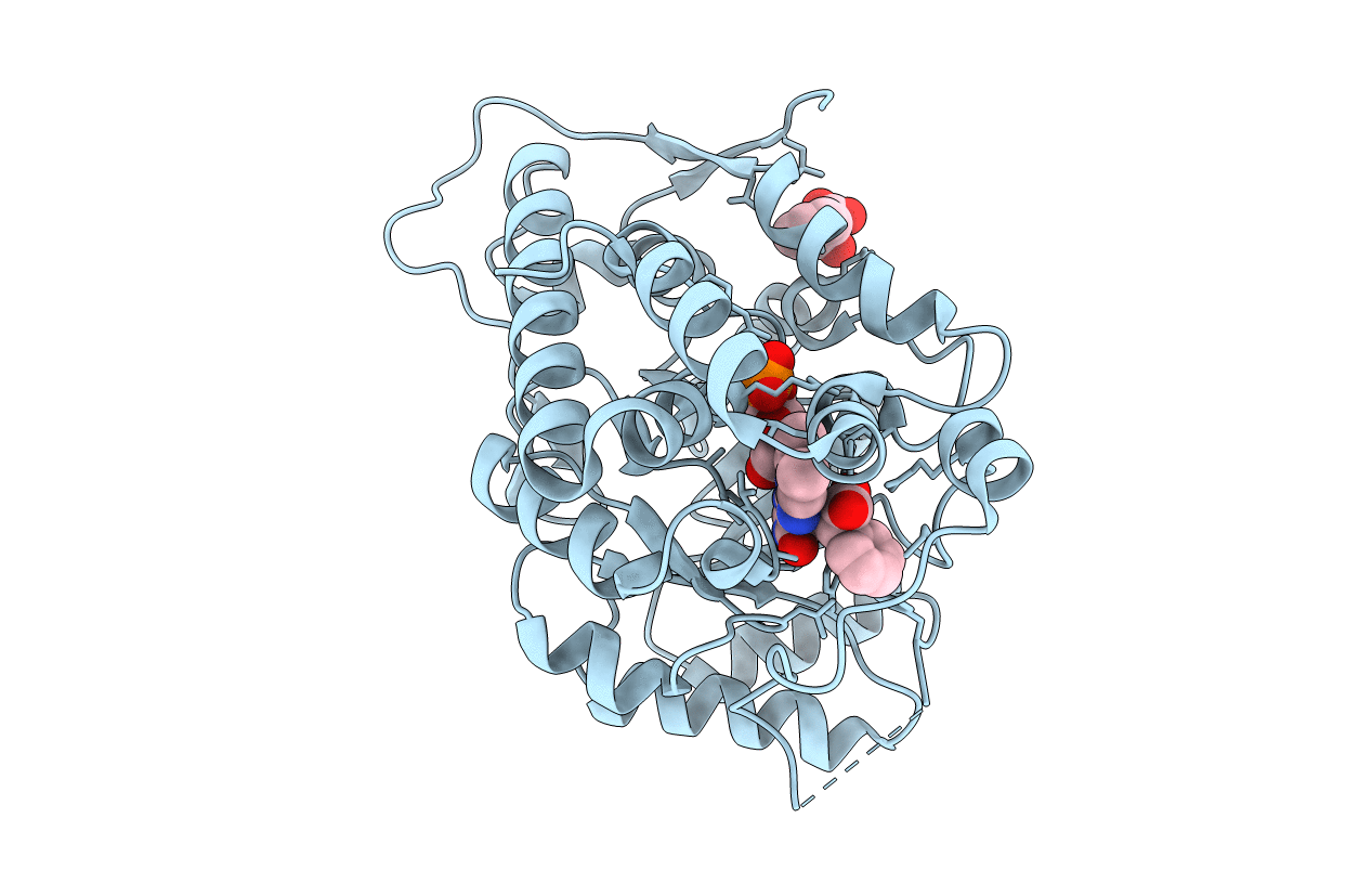6A0V image