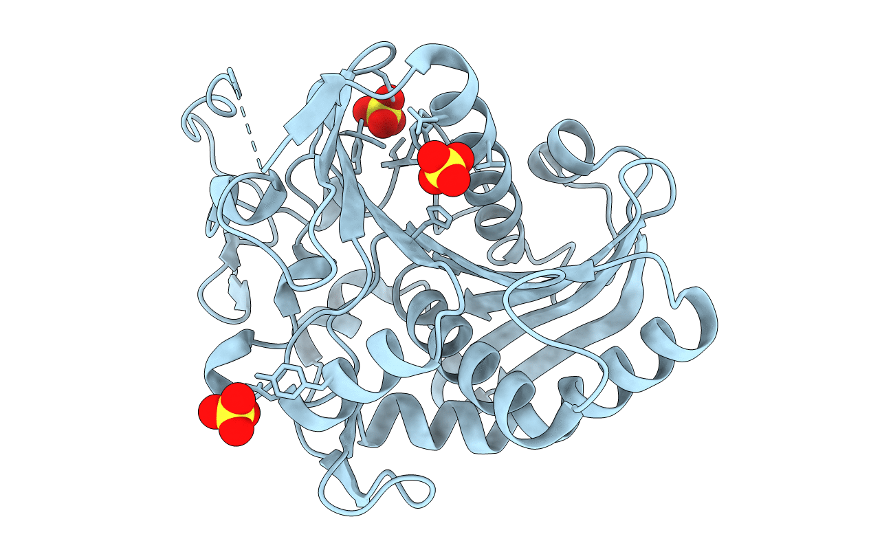 6A0W image