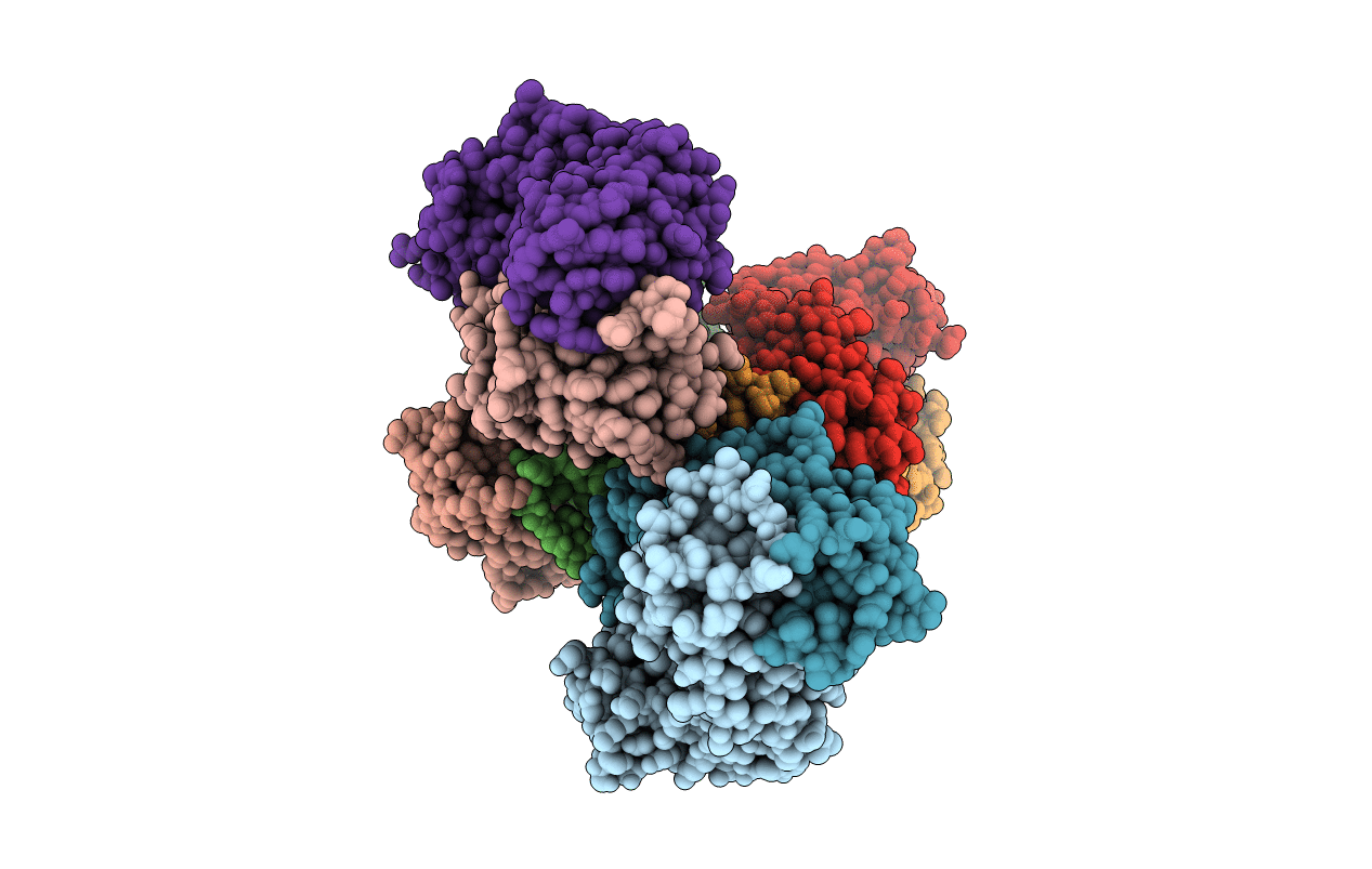 6A0X image