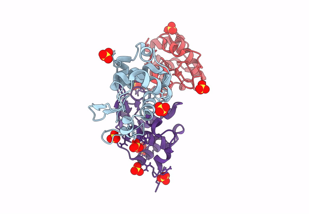 6A10 image