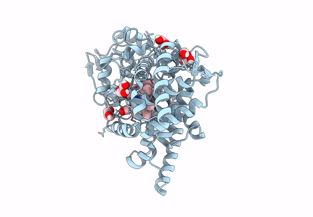 6A15 image