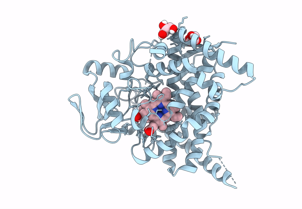6A16 image