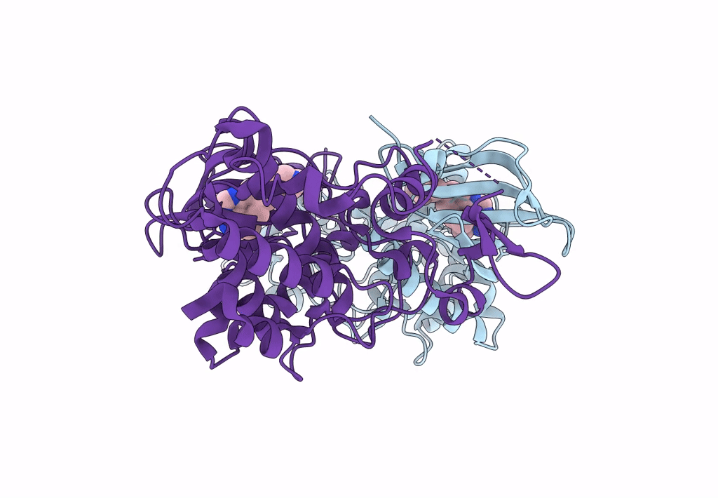 6A1G image