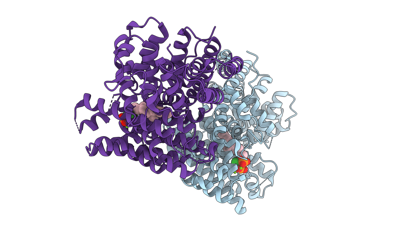 6A2D image