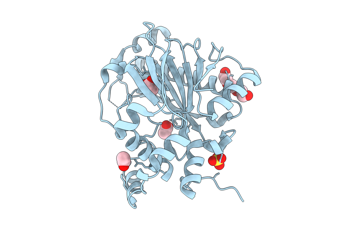 6A2E image