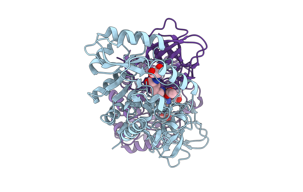 6A2F image