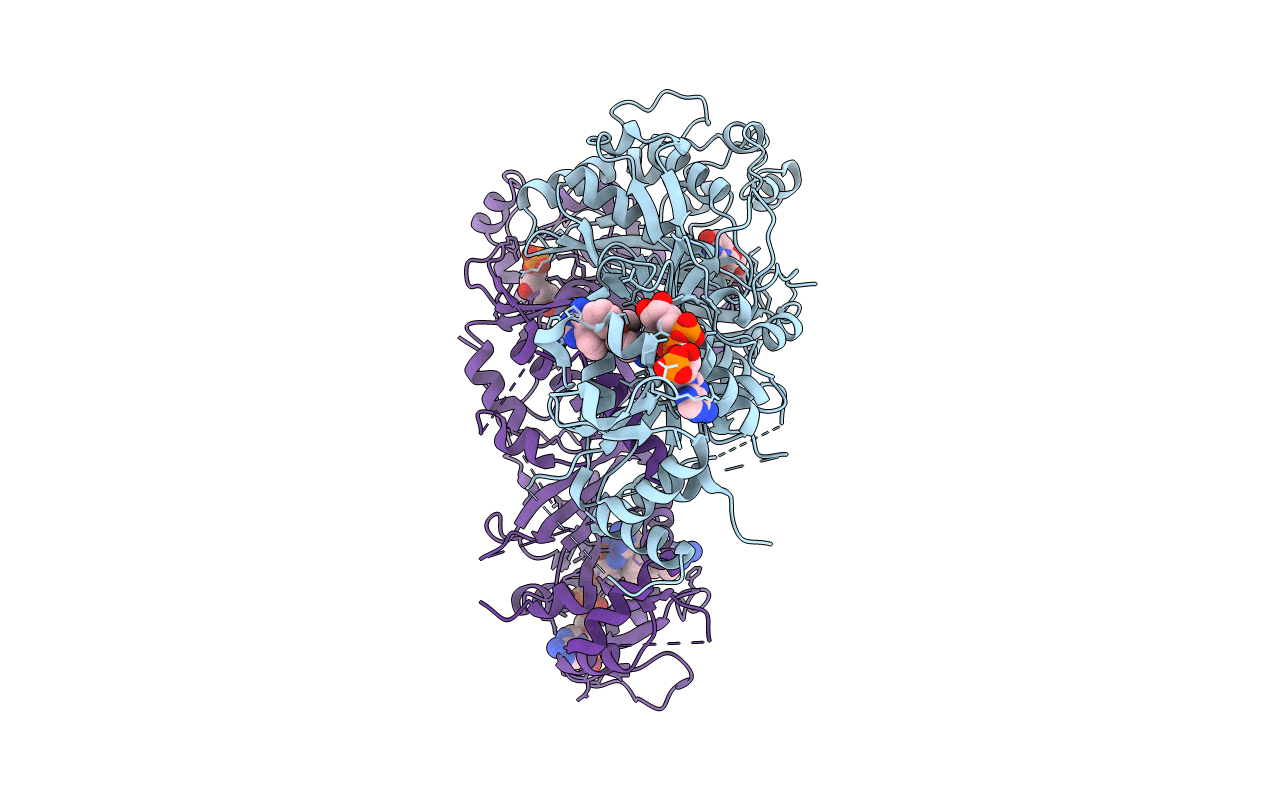 6A2L image