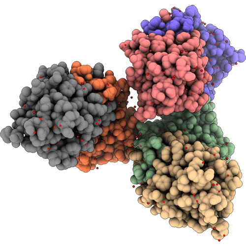 6A2R image