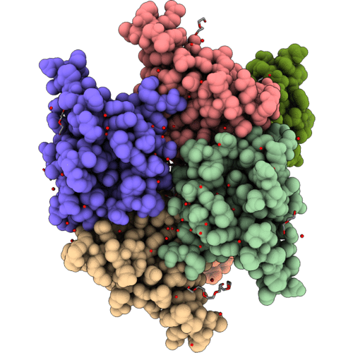 6A2S image