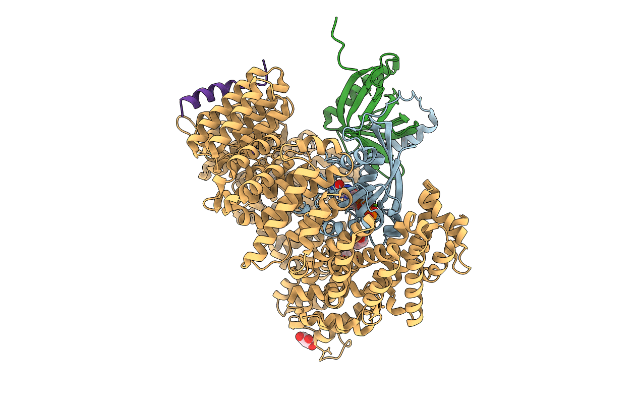 6A3B image