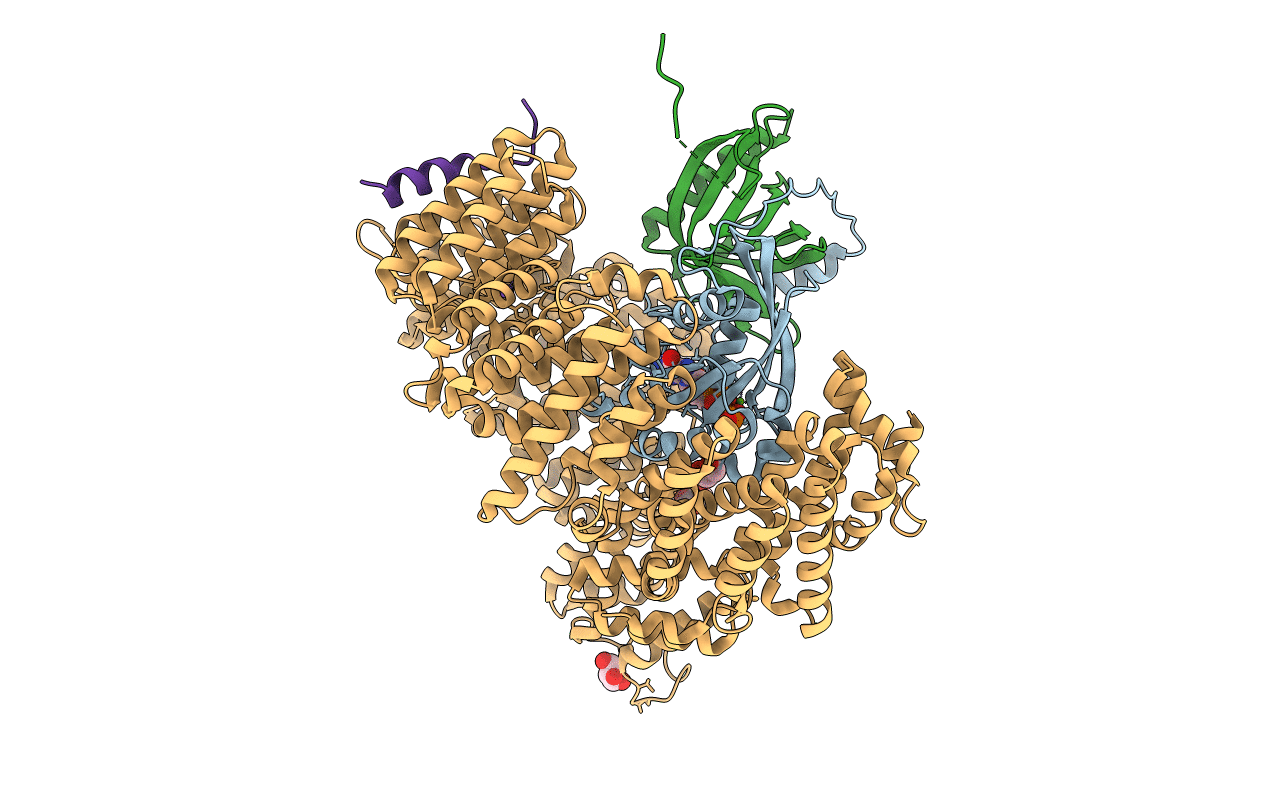 6A3C image