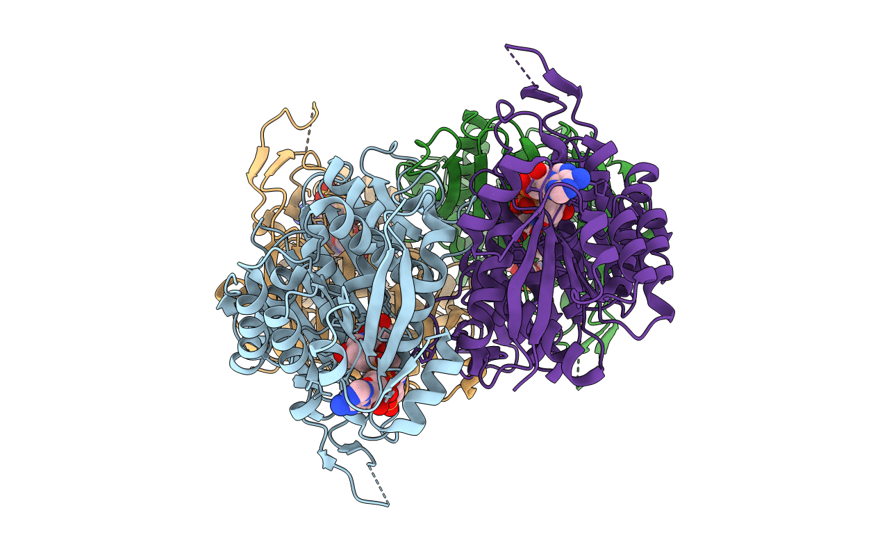6A3J image