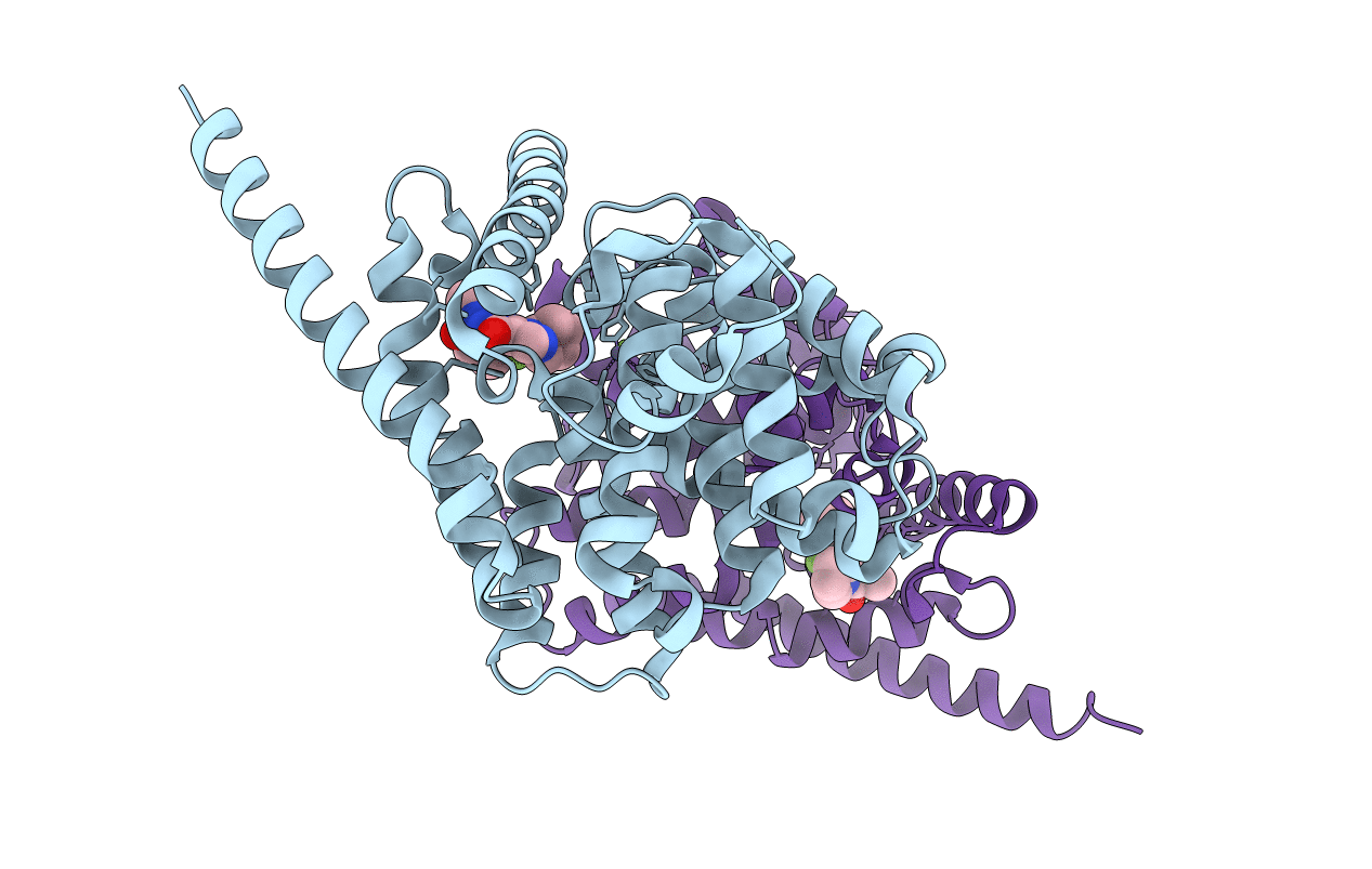 6A3N image