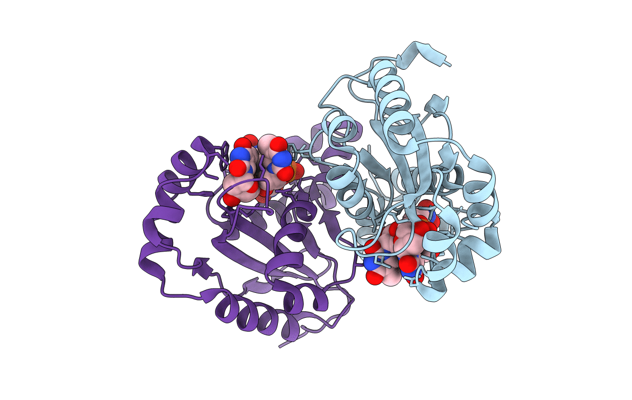 6A4D image