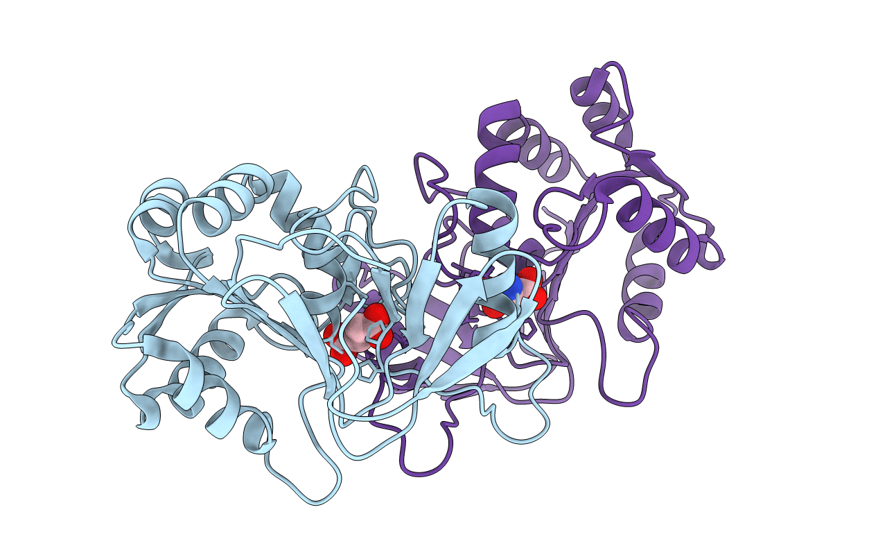 6A4R image
