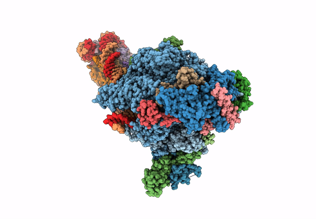 6A5P image