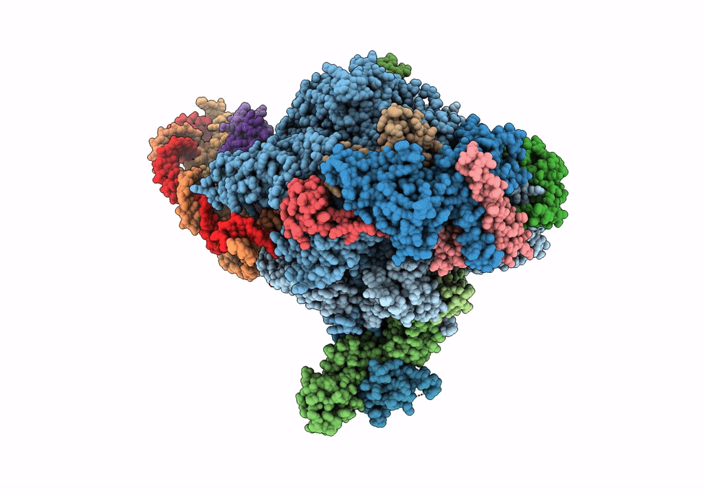 6A5R image