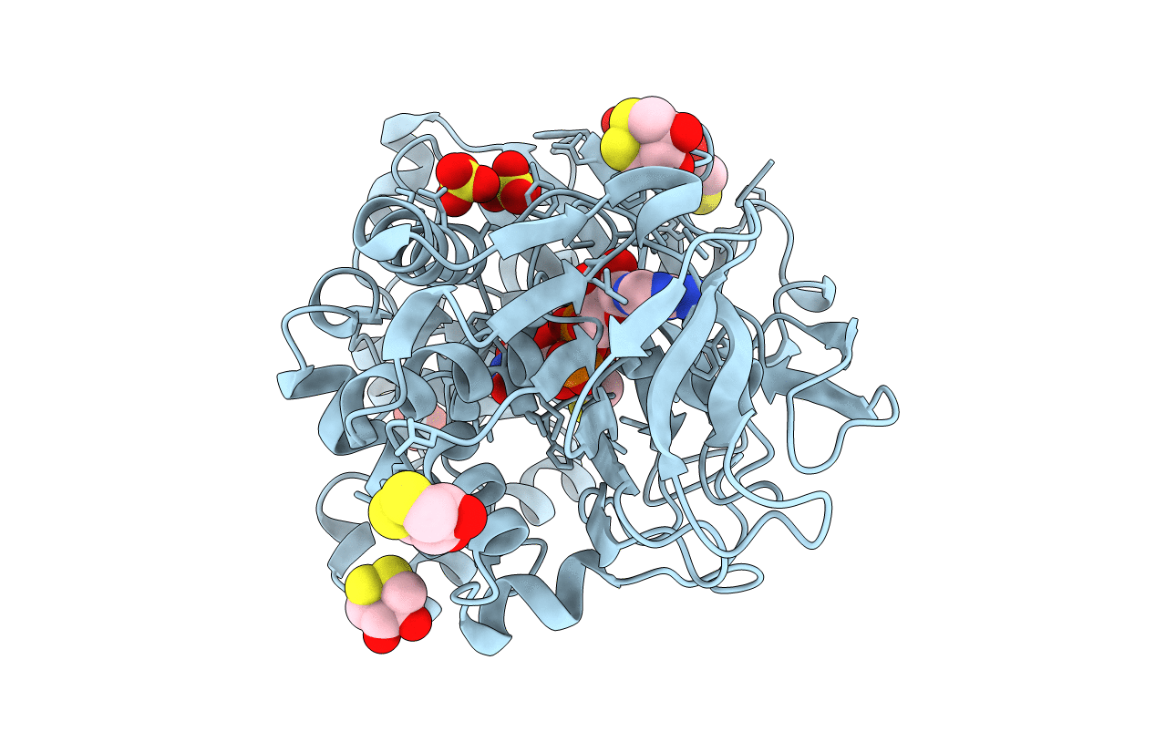 6A6T image
