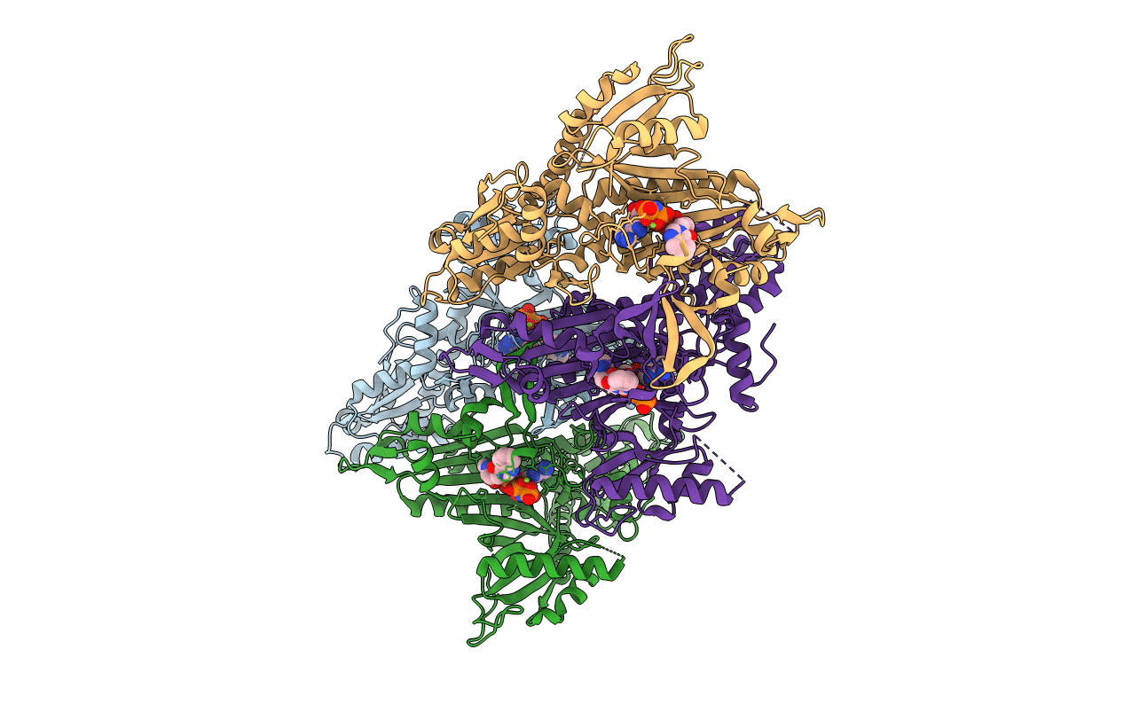 6A88 image