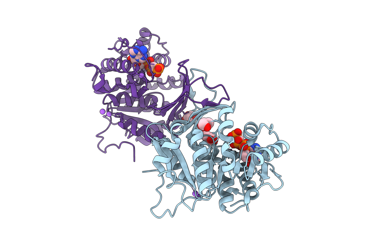 6A8B image