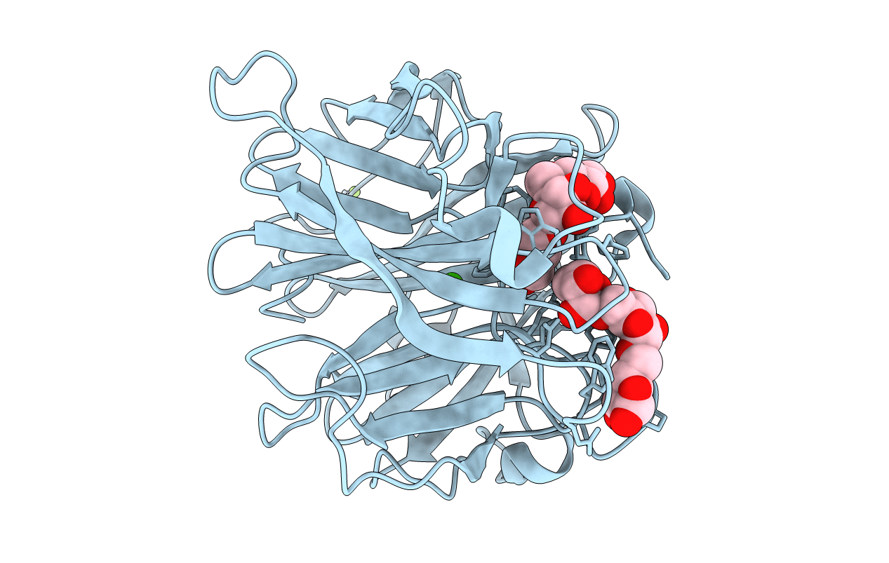 6A8H image