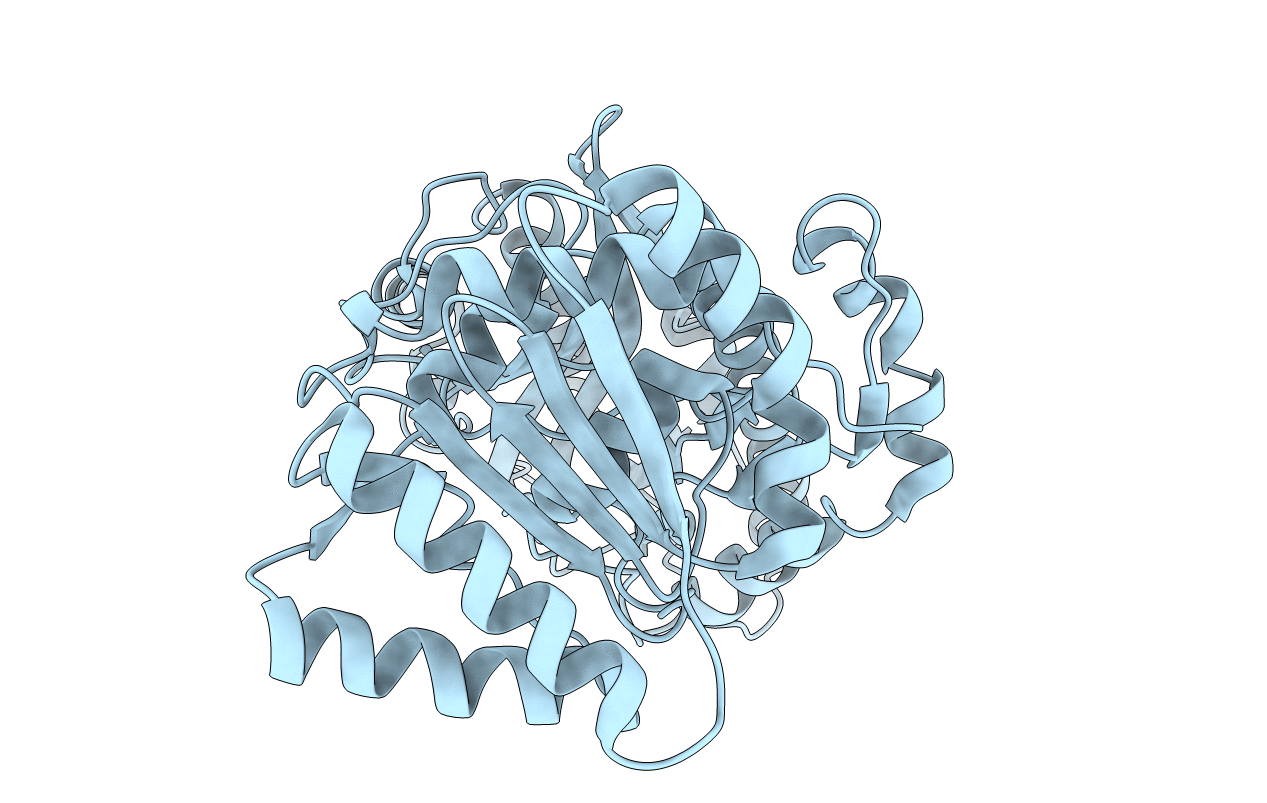 6A8M image