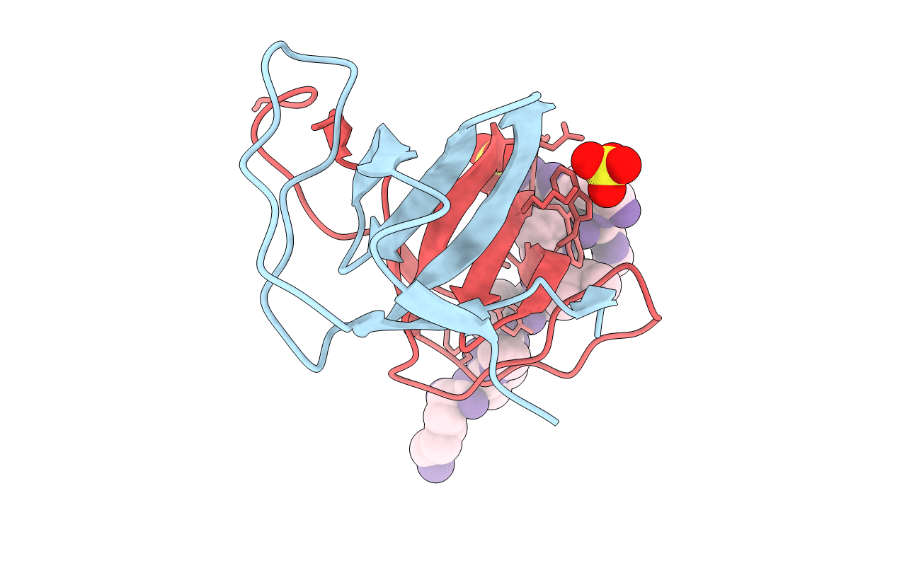 6A9C image