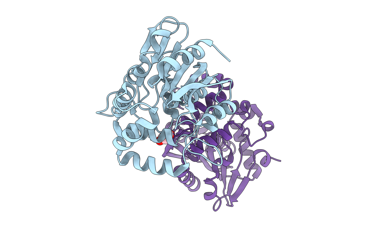 6A9D image