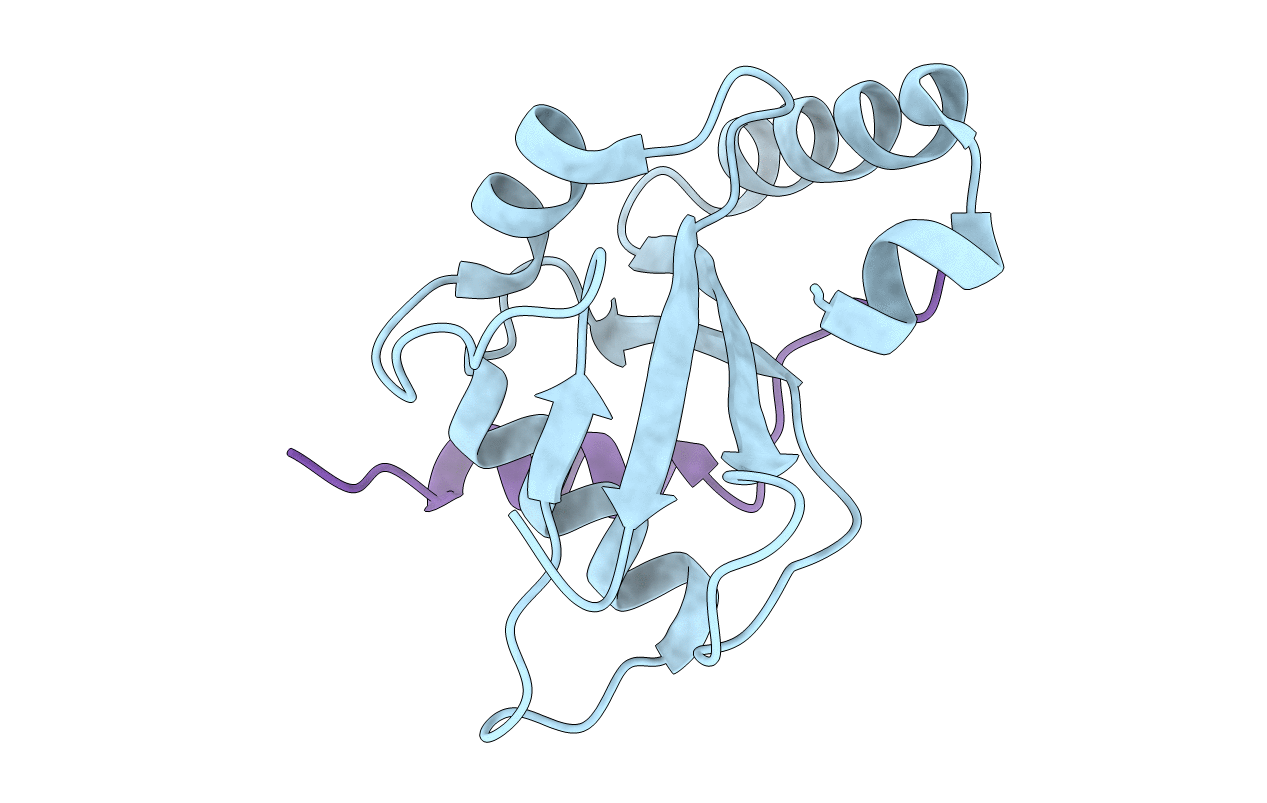 6AAF image