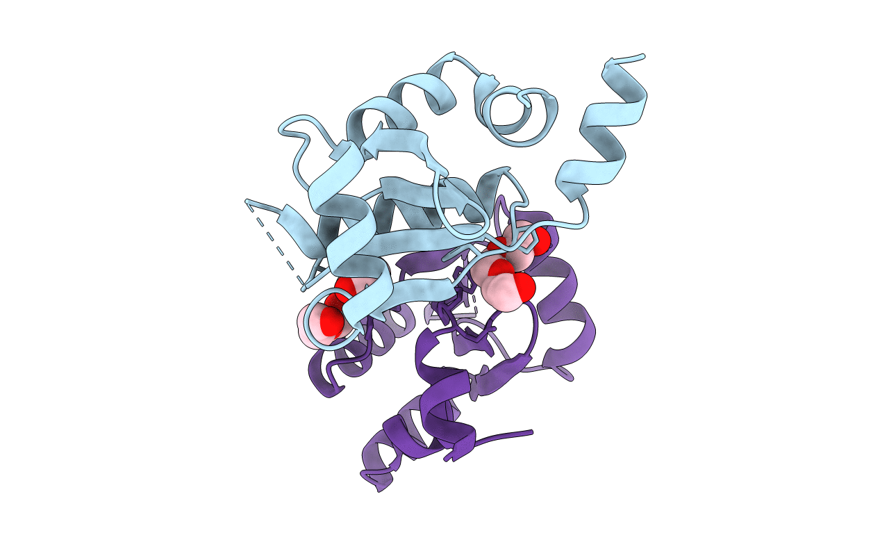 6ABS image