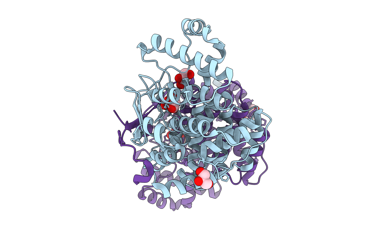 6ABX image