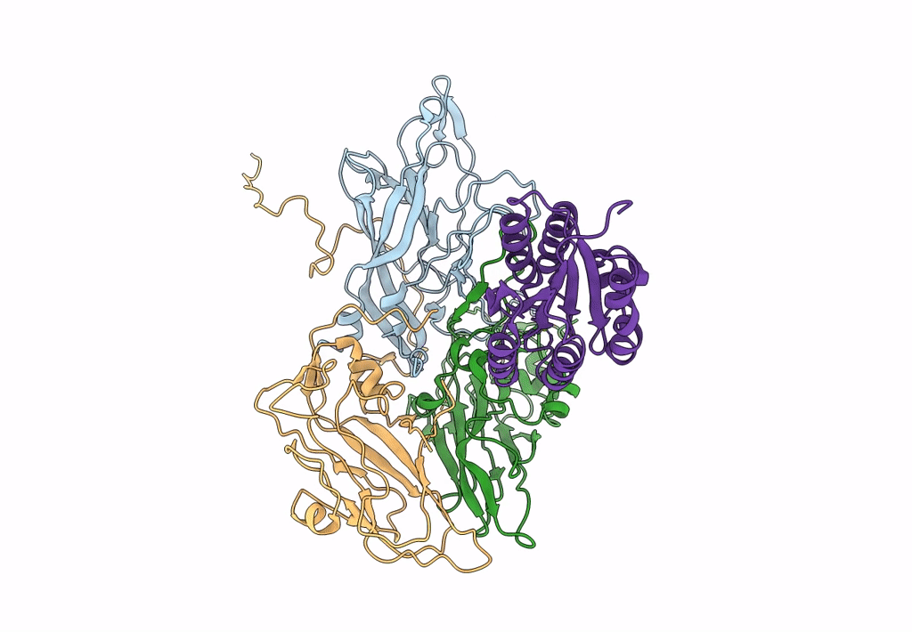 6ADL image