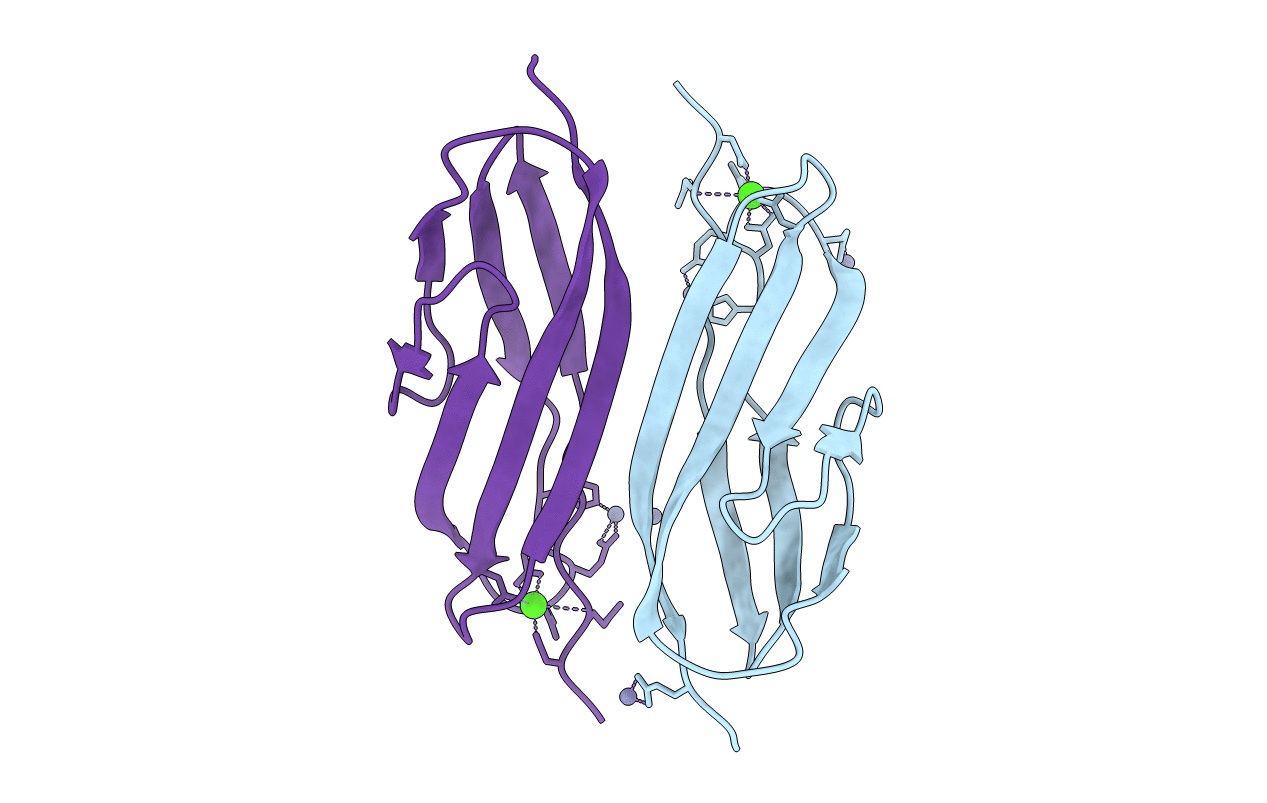 6AEM image