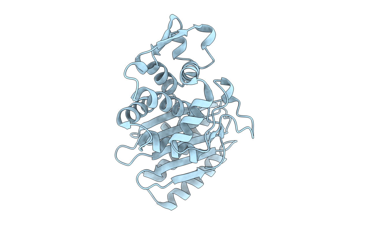 6AFM image