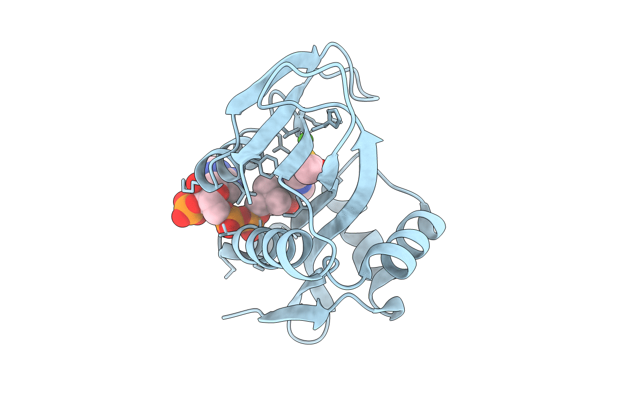 6AG5 image
