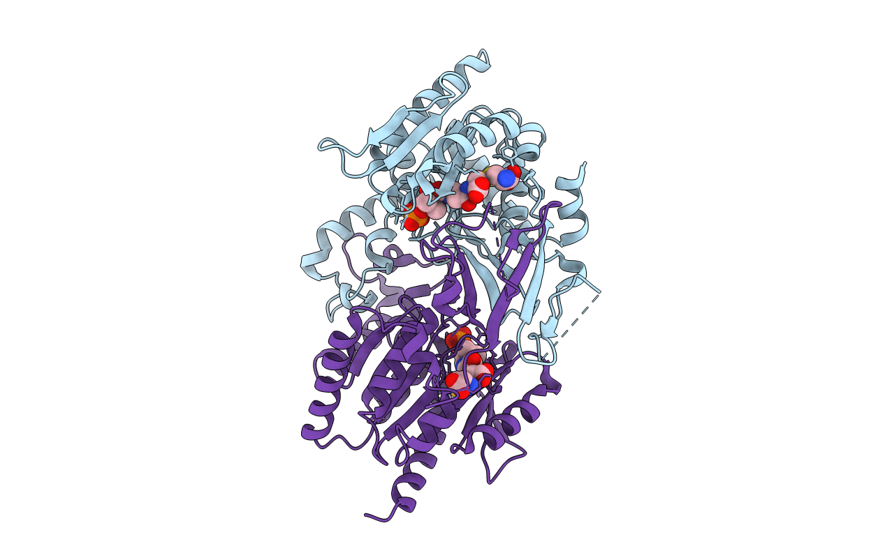 6AIP image
