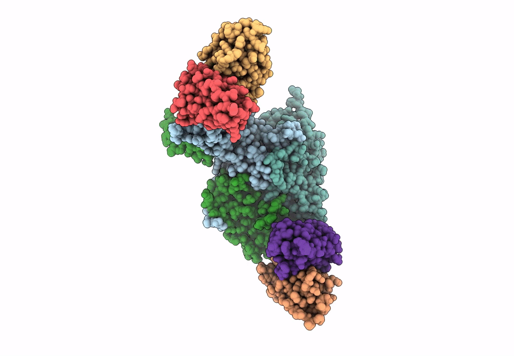 6AJ9 image