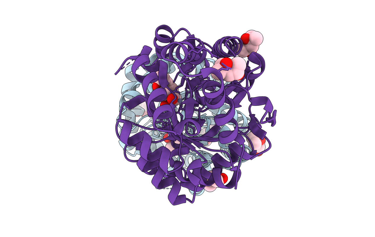 6AML image