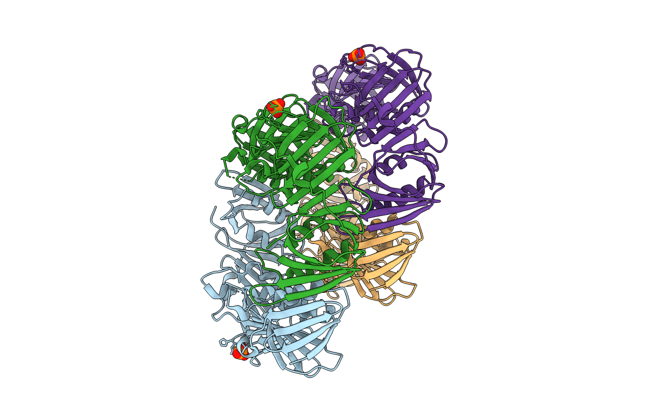 6AMS image